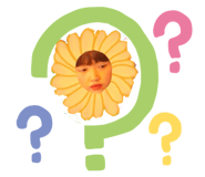 150839306