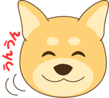 1508888