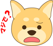 1508892