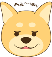 1508897