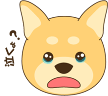 1508906