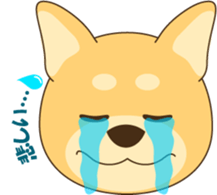 1508908