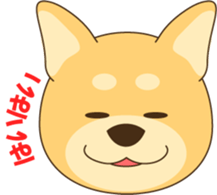 1508909