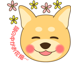 1508910