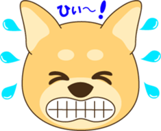 1508913