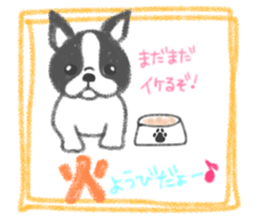 15100853