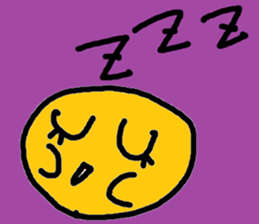 151073775