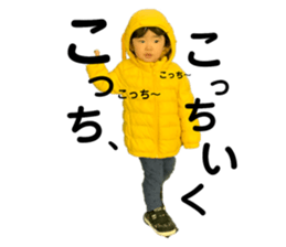151081676