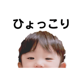 151081691