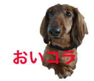 151082896