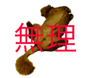 151082897