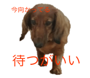 151082898