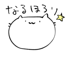151128117