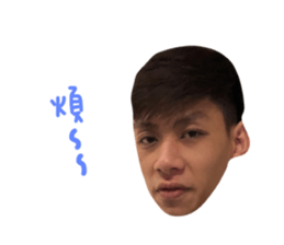 151132194