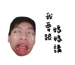 151132198