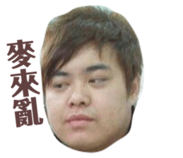 151143047