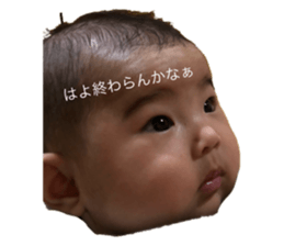 151143464
