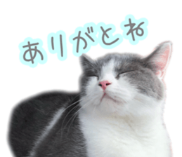 151172831