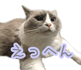 151172840