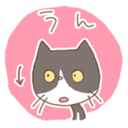 151256