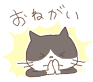 151262