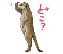 1513142