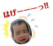 151437323