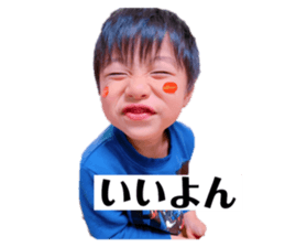 151524944