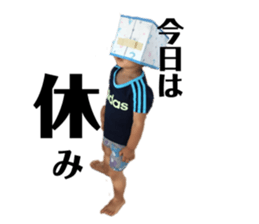 151524964