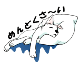 15167812