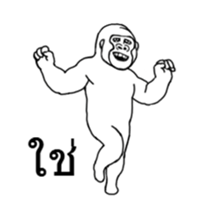 15172196