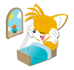 SONIC THE HEDGEHOG รูปที่ 12