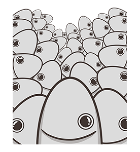 ลายที่ 13