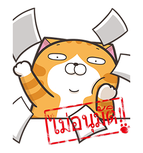 ลายที่ 43