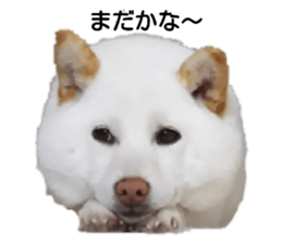 151800814
