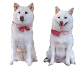 151800819