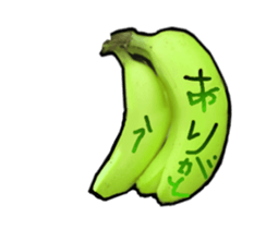 15180605