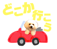 151880126
