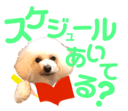 151880127