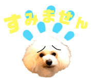 151880129