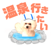 151880132