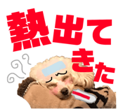 151880139