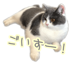 152111302