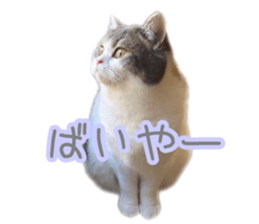 152111304