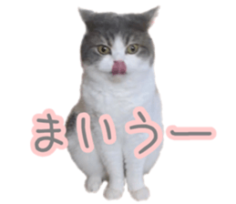 152111307