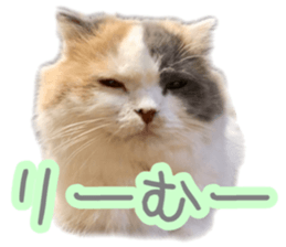 152111308