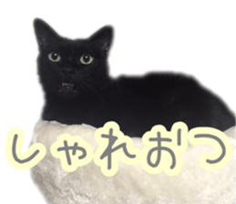 152111309