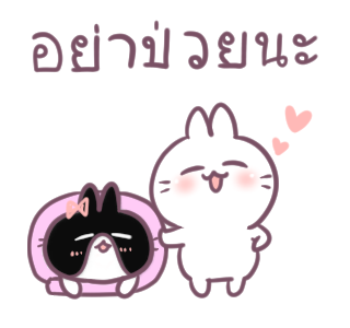 บอสทู-กระต่ายดุ๊กดิ๊กแสนหวาน รูปที่ 21