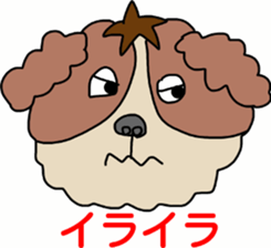 15216434