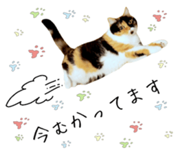 15228092
